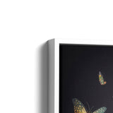 Katze mit Schmetterlingen Nahaufnahme mit weißem Rahmen