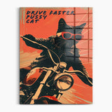 Drive faster Pussycat