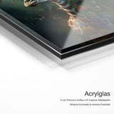 Giraffe Flowers 2 – Acrylglas Qualitätsdetail mit 6 mm Premium-Aufbau, massiver Metallplatte und intensiver Farbtiefe