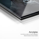Gorilla Crown – Acrylglas Qualitätsdetail mit 6 mm Premium-Aufbau, massiver Metallplatte und intensiver Farbtiefe