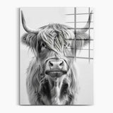 Happy Highland Cattle