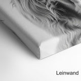 Happy Highland Cattle - Refurbished