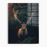 Moody Deer