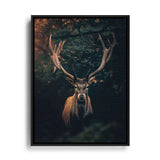 Hirsch mit großem Geweih im Wald