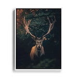 Wandbild von einem Hirsch der in die Kamera schaut