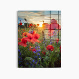 Mohnwiese bei Sonnenaufgang 2