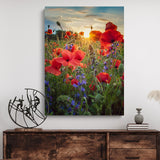 Mohnwiese bei Sonnenaufgang 2