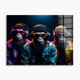 Three Cool Monkeys