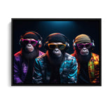 Three Cool Monkeys