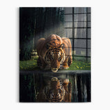 Tiger Reflection