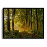 Waldlichtung im Sommer auf Leinwandbild