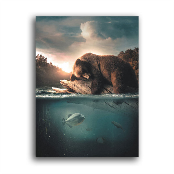 Bär schläft auf Baumstamm und treibt im Wasser