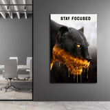 Schwarzer Panther schaut Fokussiert auf seine nächste Beute