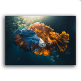 außergewöhnliche Fische im Meer