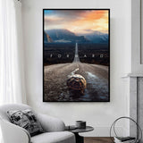 Schildkröte Nahaufnahme