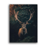 Hirsch im Wald schaut in die Kamera