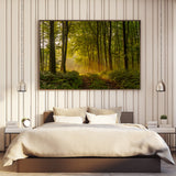 Waldweg im Laubwald in den Morgenstunden