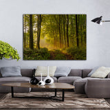 Waldweg im Laubwald in den Morgenstunden