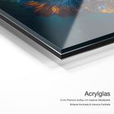 Colorful Fish Love – Qualitätsdetail Acrylglas: 6 mm Premium-Aufbau mit massiver Metallplatte, brillante Kontraste und intensive Farbtiefe