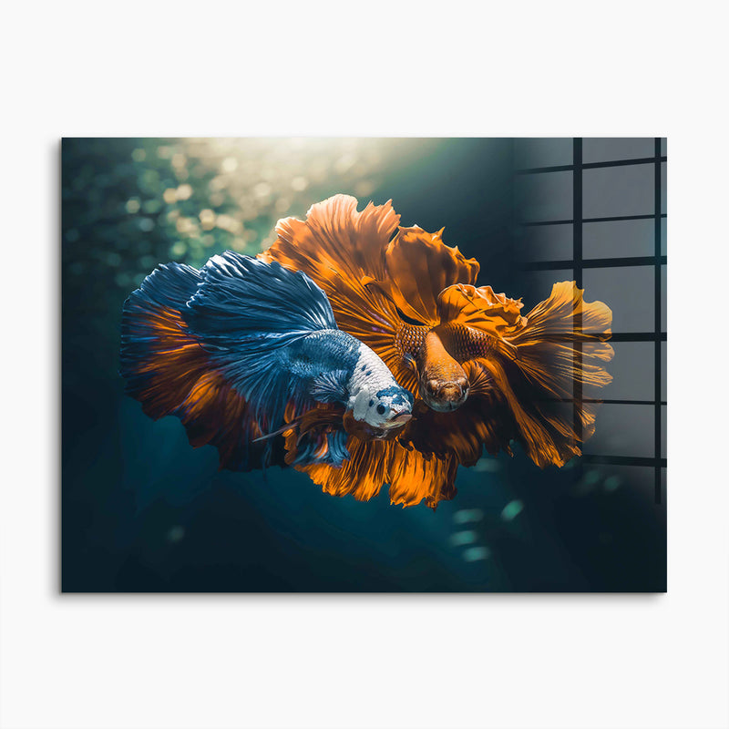 Colorful Fish Love
