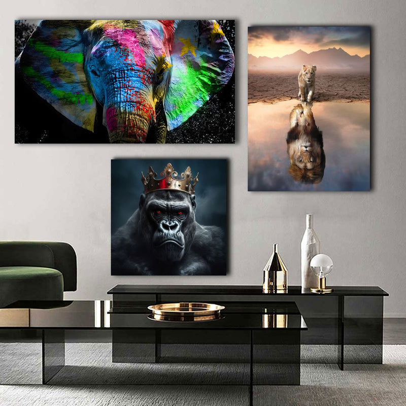 Bilder Tiere