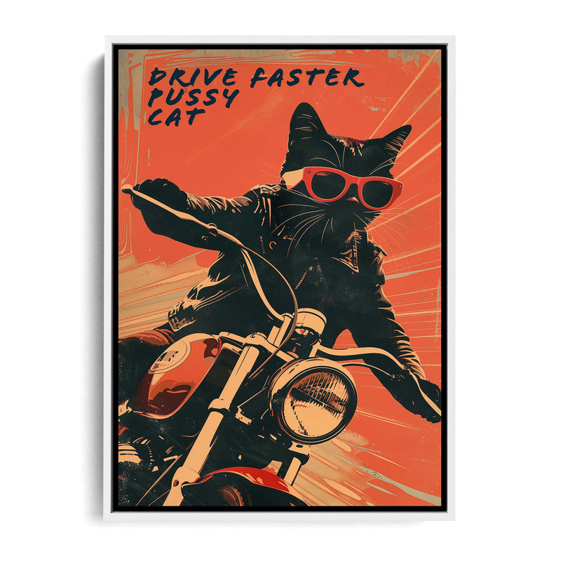 Drive faster Pussycat