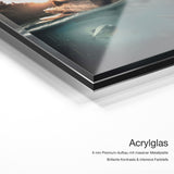 Floating Bear – Acrylglas Qualitätsdetail mit 6 mm Premium-Aufbau, massiver Metallplatte und intensiver Farbtiefe
