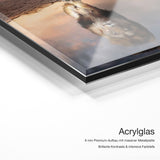 Lion Reflection – Acrylglas Qualitätsdetail mit 6 mm Premium-Aufbau, massiver Metallplatte und intensiver Farbtiefe