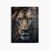 Lion Portrait