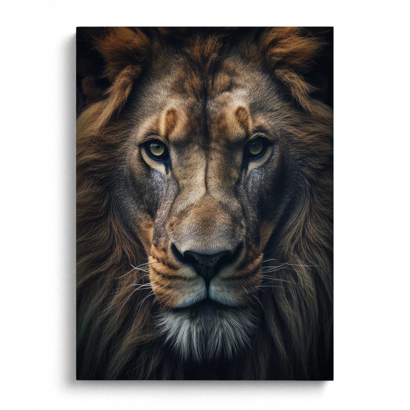 Lion Portrait