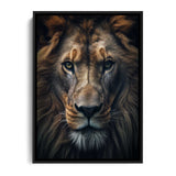 Lion Portrait