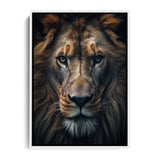 Lion Portrait