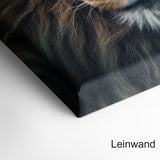 Lion Portrait