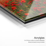 Mohnmeer – Acrylglas Qualitätsdetail mit 6 mm Premium-Aufbau, massiver Metallplatte und intensiver Farbtiefe