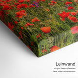Mohnmeer – Leinwand Qualitätsdetail mit 300 g/m² Premium-Leinwand und feiner, matter Leinwandstruktur