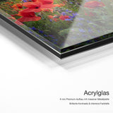 Mohnwiese bei Sonnenaufgang 2 – Acrylglas Qualitätsdetail mit 6 mm Premium-Aufbau, massiver Metallplatte und intensiver Farbtiefe