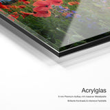 Mohnwiese bei Sonnenaufgang – Acrylglas Qualitätsdetail mit 6 mm Premium-Aufbau, massiver Metallplatte und intensiver Farbtiefe
