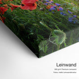 Mohnwiese bei Sonnenaufgang – Leinwand Qualitätsdetail mit 300 g/m² Premium-Leinwand und feiner, matter Leinwandstruktur