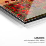 Mohnwiese bei Sonnenuntergang – Acrylglas Qualitätsdetail mit 6 mm Premium-Aufbau, massiver Metallplatte und intensiver Farbtiefe