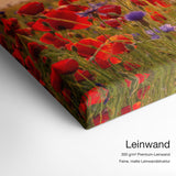 Mohnwiese bei Sonnenuntergang – Leinwand Qualitätsdetail mit 300 g/m² Premium-Leinwand und feiner, matter Leinwandstruktur
