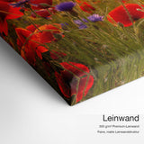 Sommermohn – Leinwand-Qualitätsdetail mit 300 g/m² Premium-Leinwand und feiner matter Leinwandstruktur