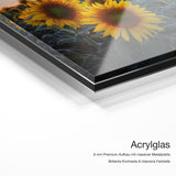 Sonnenblumen – Acrylglas-Qualitätsdetail mit 6 mm Premium-Aufbau, massiver Metallplatte und intensiver Farbtiefe