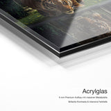 Tiger Reflection – Acrylglas-Qualitätsdetail mit 6 mm Premium-Aufbau, massiver Metallplatte und intensiver Farbtiefe