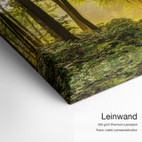 Waldspaziergang – Leinwand-Qualitätsdetail mit 300 g/m² Premium-Leinwand und feiner matter Leinwandstruktur