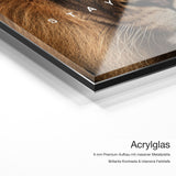 Stay Hungry – Acrylglas-Qualitätsdetail mit 6 mm Premium-Aufbau, massiver Metallplatte und intensiver Farbtiefe