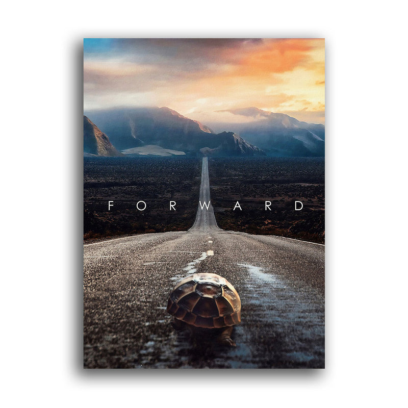 Schildkröte überquert eine lange Straße entlang